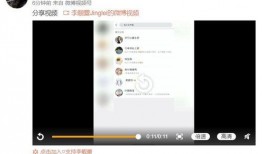 狗仔语音爆料王力宏视频,狗仔语音爆料背后的真相