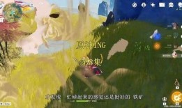 原神大哥爆料视频,大哥揭秘游戏神秘内容，带你领略奇幻世界